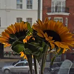 My Home In Marylebone