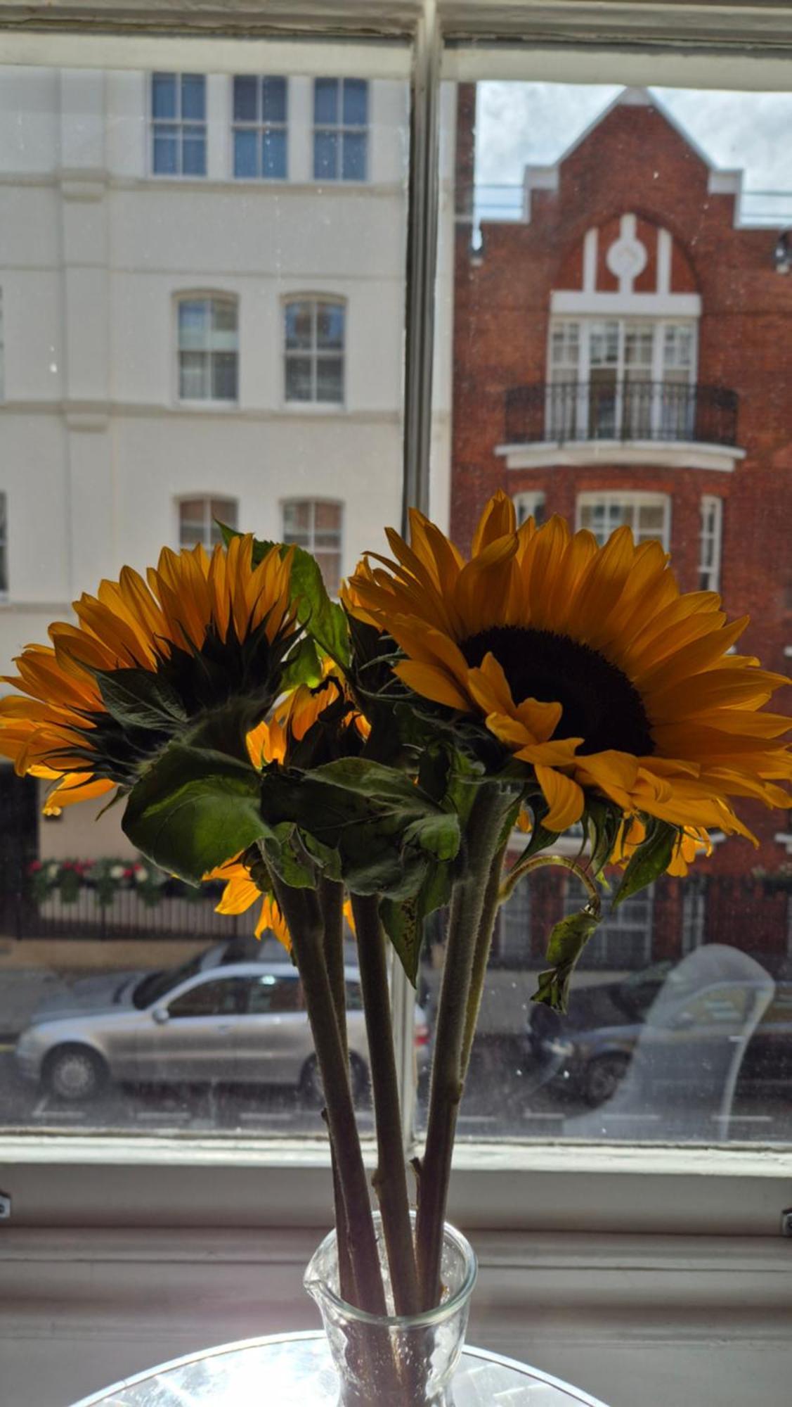My In Marylebone